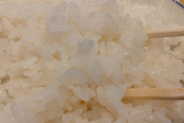 18 » 食べ歩き うまログ!