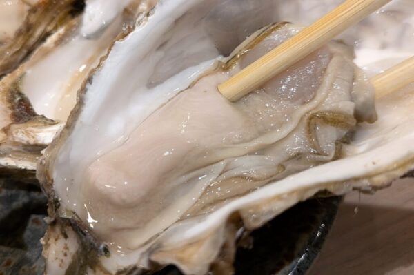 28 » 食べ歩き うまログ!