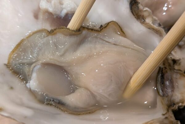 30 » 食べ歩き うまログ!