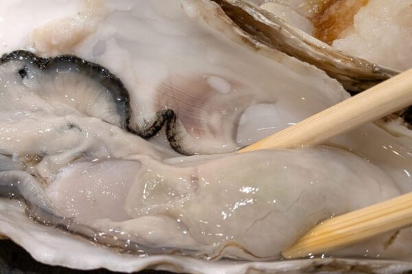 33 » 食べ歩き うまログ!