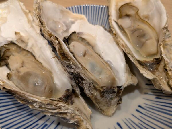 37 » 食べ歩き うまログ!