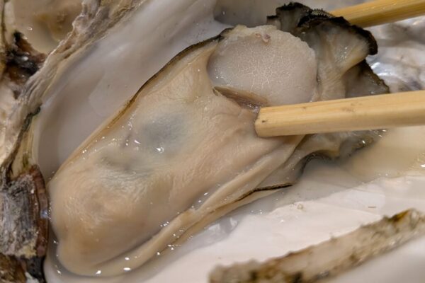 38 » 食べ歩き うまログ!