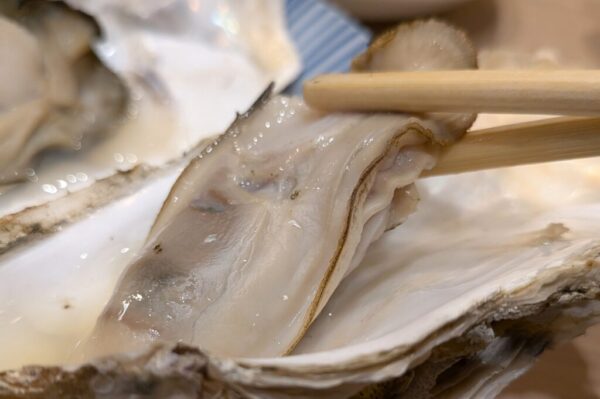 39 » 食べ歩き うまログ!