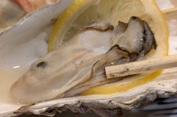 44 » 食べ歩き うまログ!