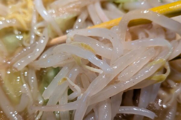 17 » 食べ歩き うまログ!