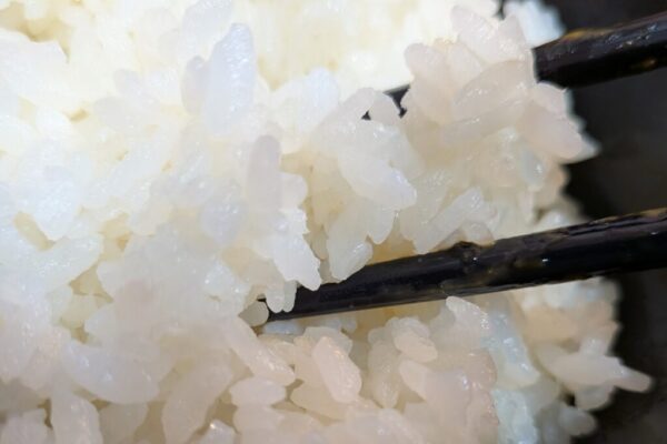 36 » 食べ歩き うまログ!