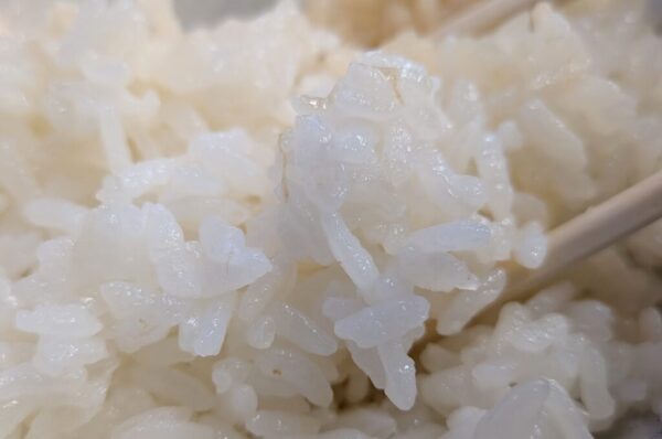 23 » 食べ歩き うまログ!